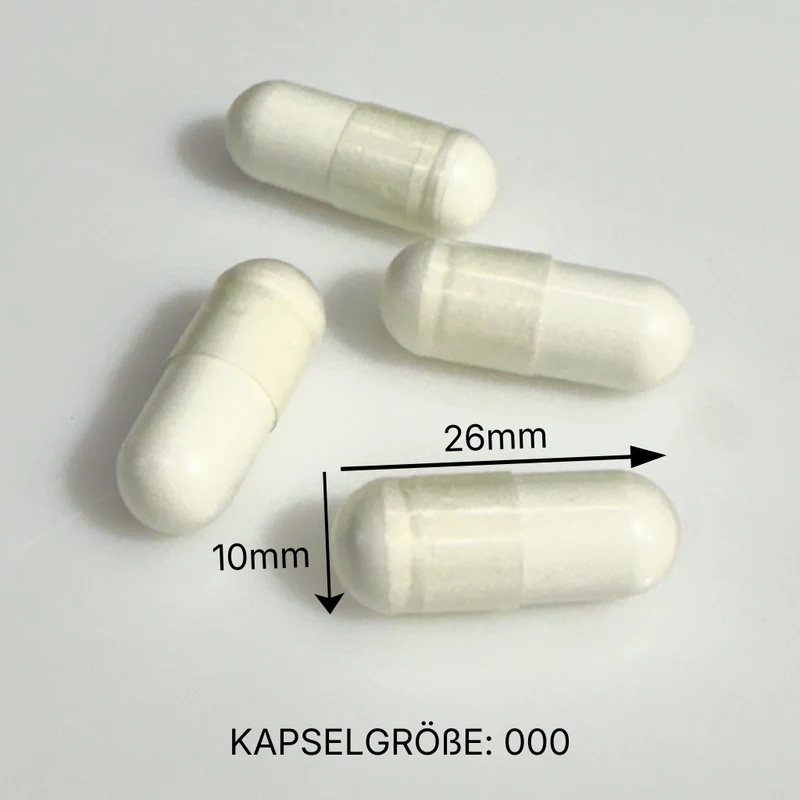 Creatin Monohydrat Kapseln 300 Caps