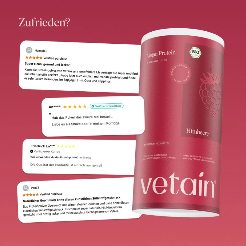 Vegan Protein Himbeere (540g/BIO)
