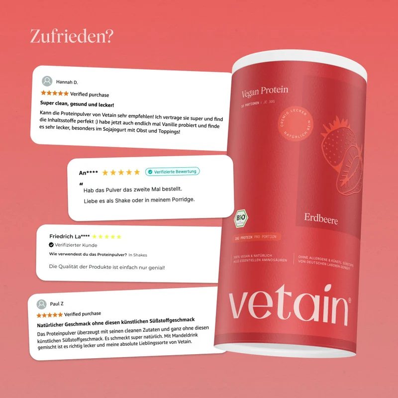 Vegan Protein Erdbeere (540g/BIO)