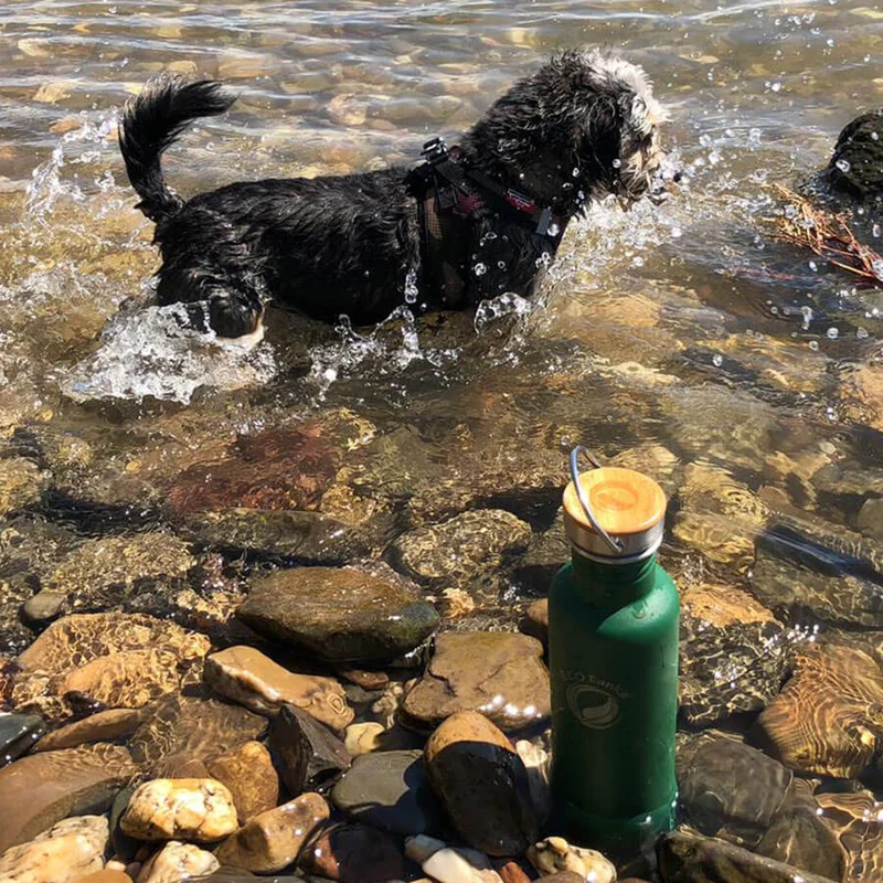 0,8l sportsTANKA™ Edelstahl Trinkflasche mit Edelstahl-Bambus-Verschluss