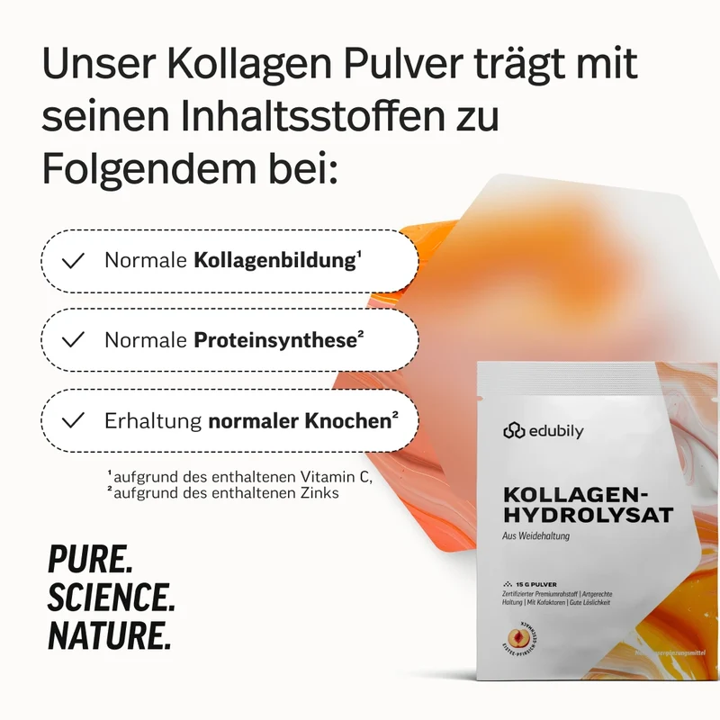 Kollagen-Hydrolysat Pulver Probe