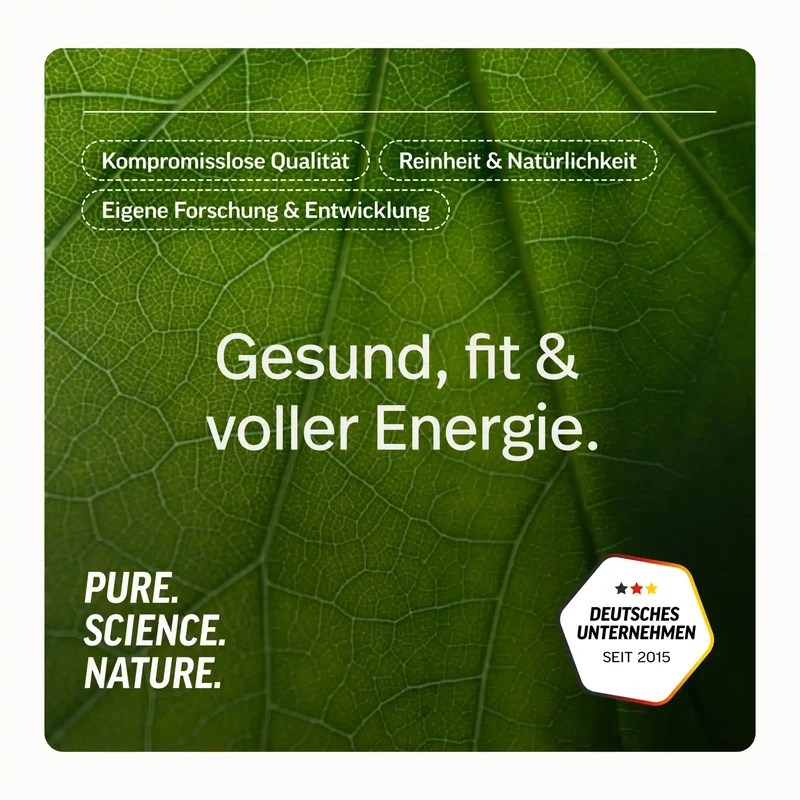 Whey-Protein-Isolat mit Geschmack Proben