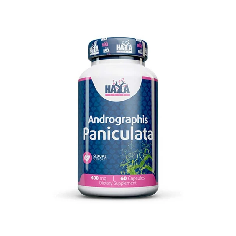 Haya Labs Andrographis paniculata 400 mg – 60 Kapseln