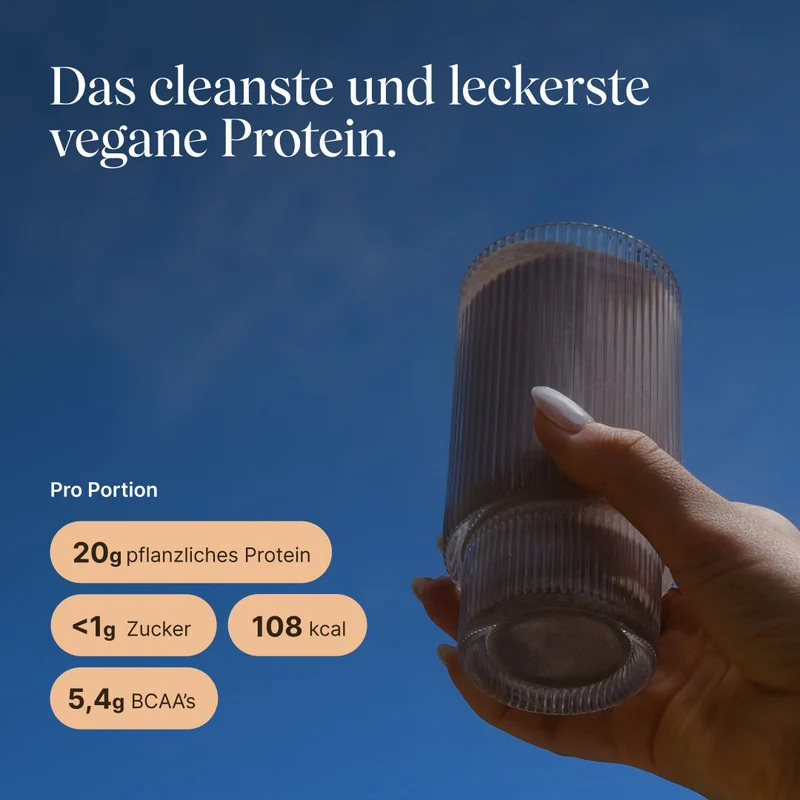 Vegan Protein Haselnuss (540g/BIO)