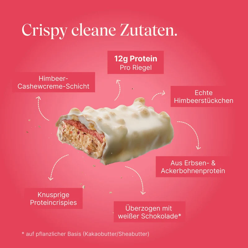 CRISPY Vegan Protein Bar - Berry