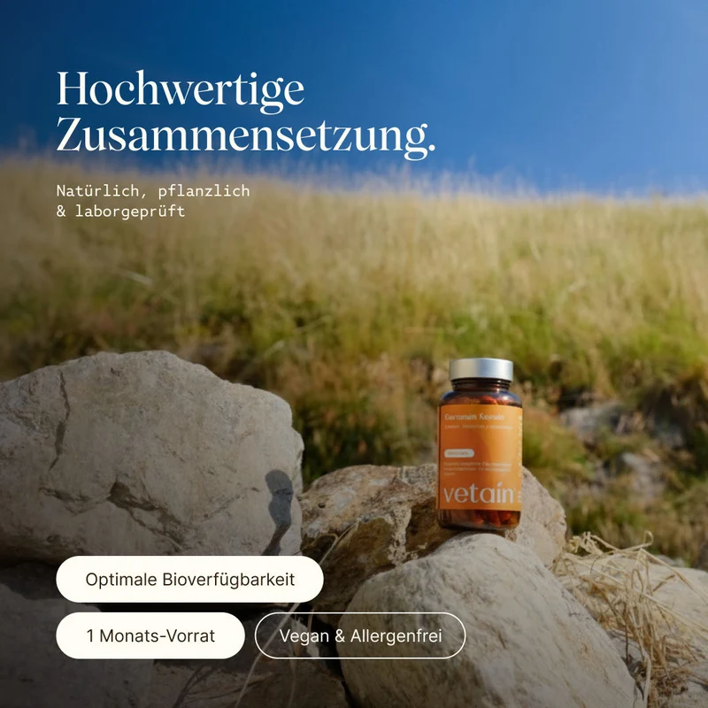 Curcuma - flüssiges Curcumin (60 Kapseln)