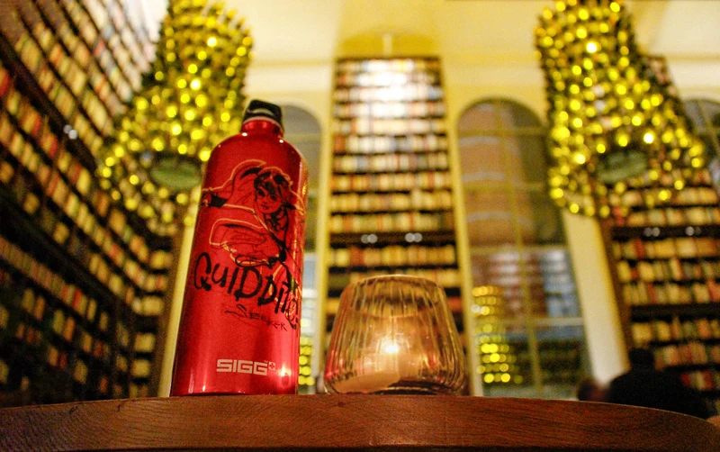 Traveller Harry Potter