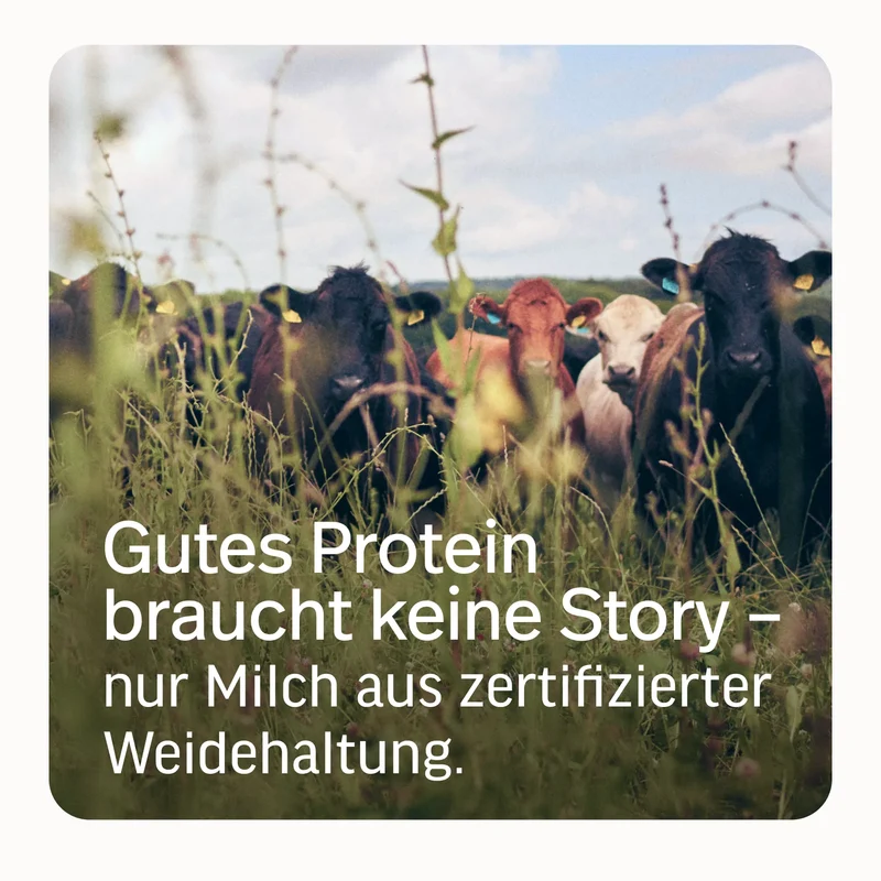 Whey-Isolat Pulver aus Weidemilch