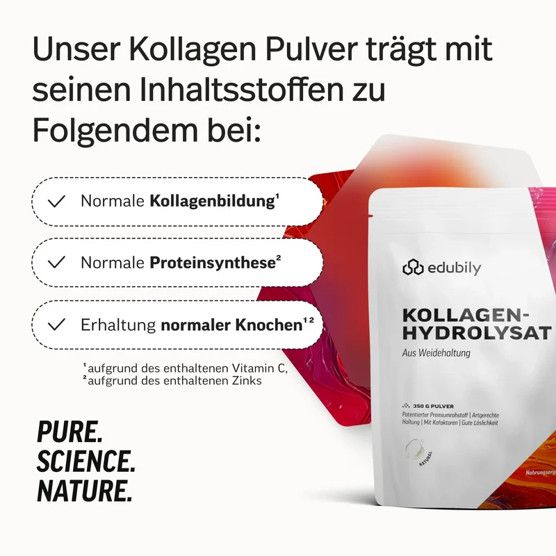 Kollagen-Hydrolysat Pulver
