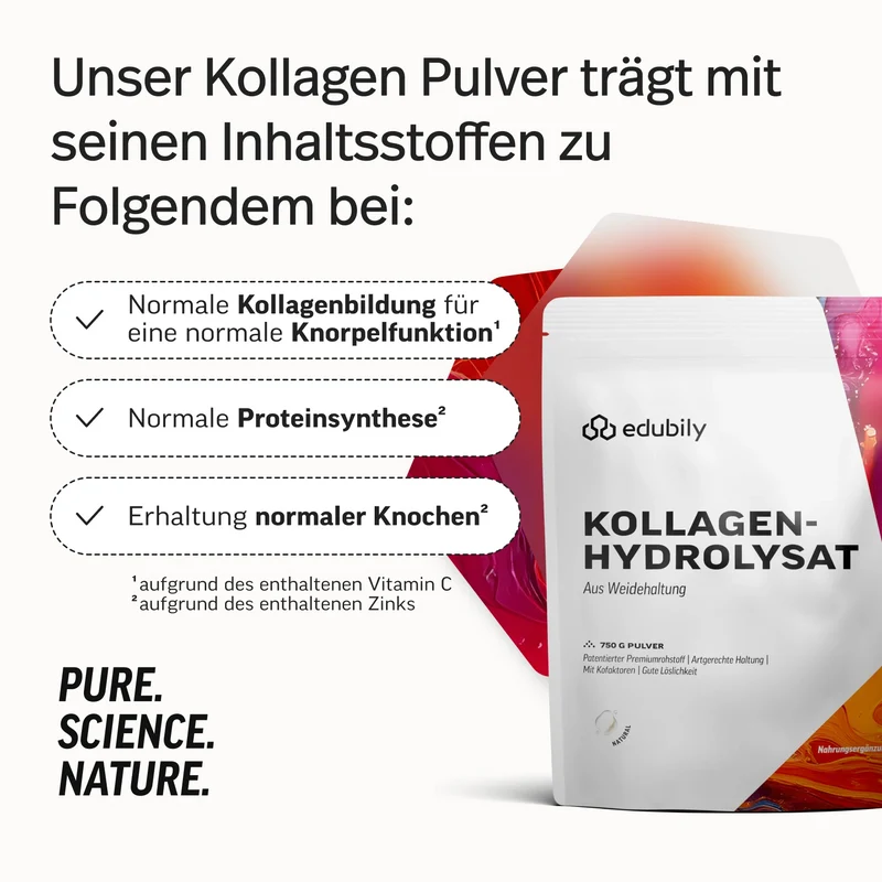 Kollagen-Hydrolysat Pulver
