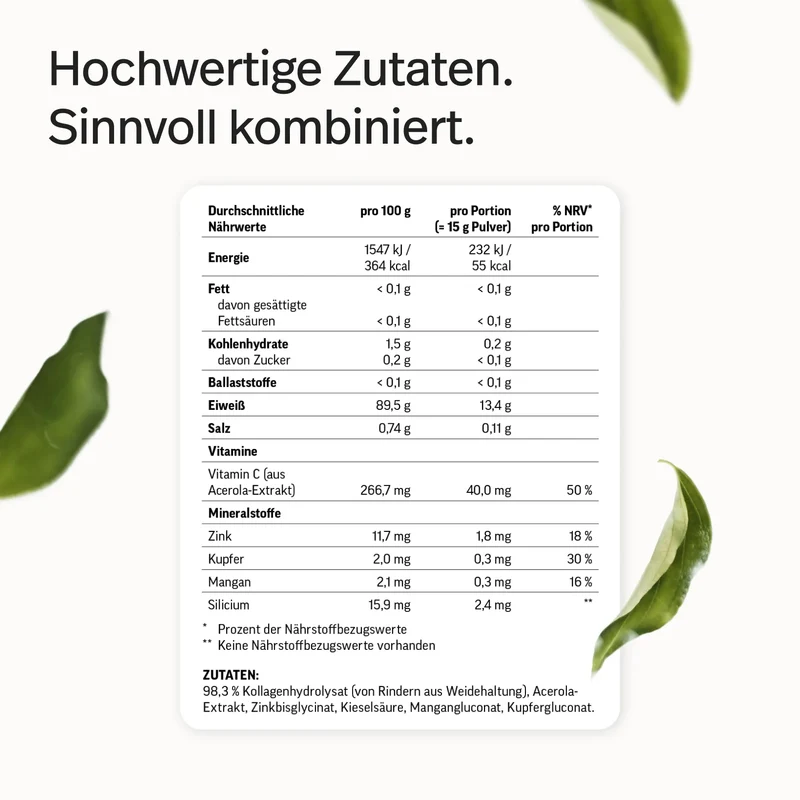 Kollagen-Hydrolysat Pulver