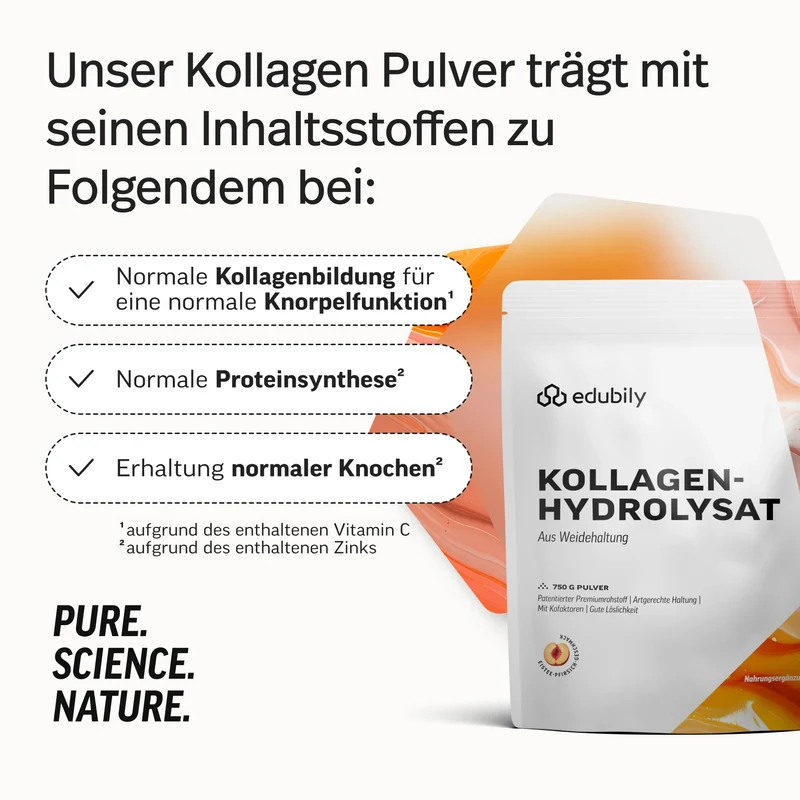 Kollagen-Hydrolysat Pulver