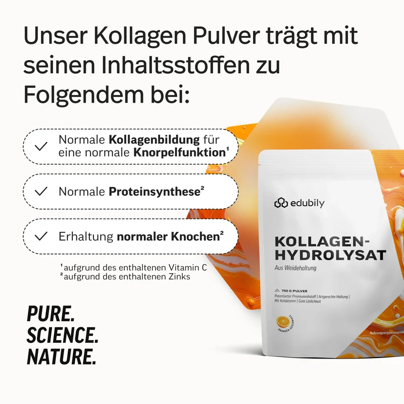 Kollagen-Hydrolysat Pulver