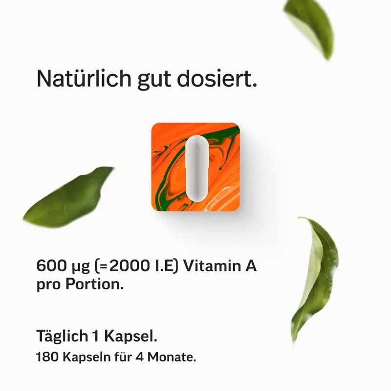 Vitamin A als reines Retinol