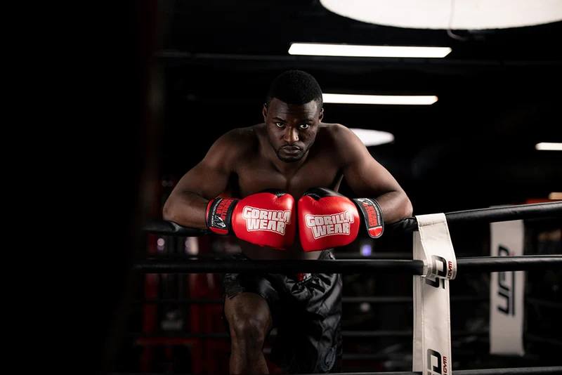Gorilla Wear - Ashton Pro Boxhandschuhe