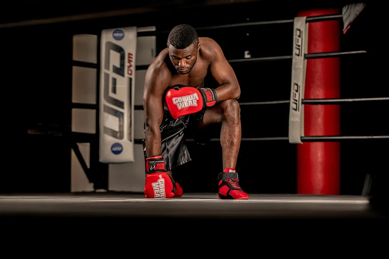 Gorilla Wear - Ashton Pro Boxhandschuhe
