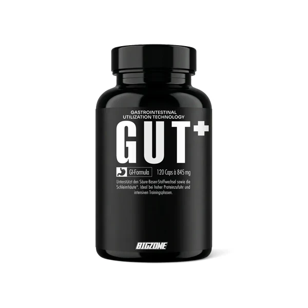 BigZone GUT PLUS, 120 Kapseln