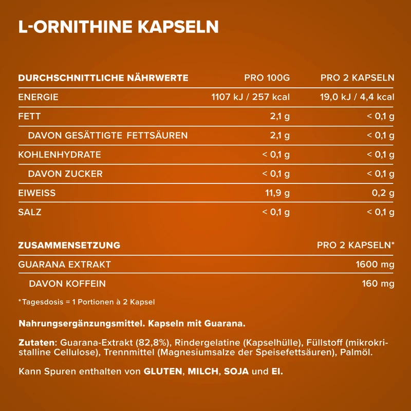 Guarana Active - 100 Kapseln