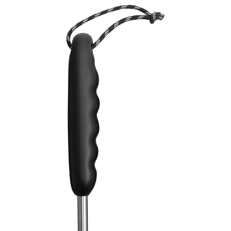 Classic Cleaning Brush