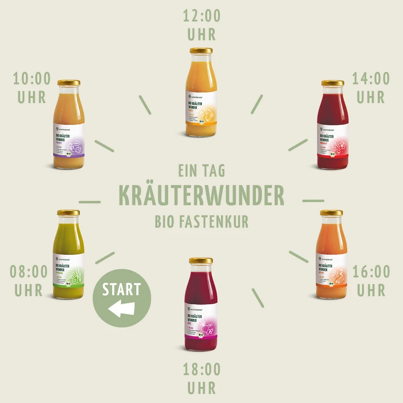 Kräuterwunder Bio Fastenkur 7 Tage (42 Flaschen)