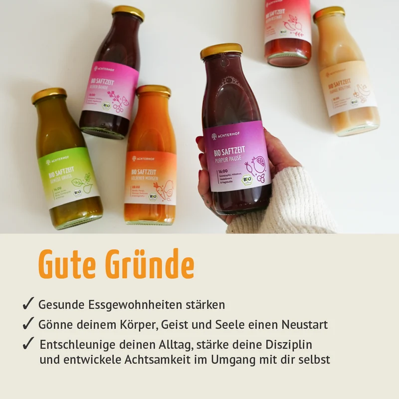 Saftzeit Bio Fastenkur 3 Tage (18 Flaschen)