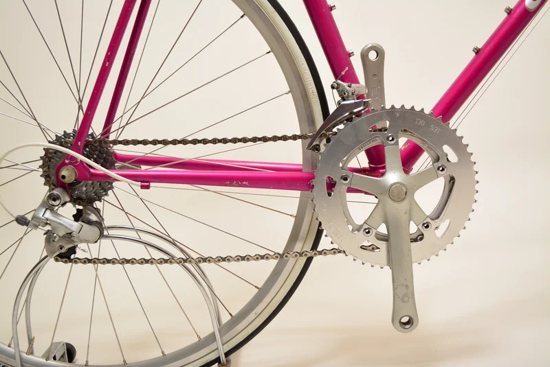 Giant Peloton Super Lite 55 cm Shimano 105 Vintage Steelbike