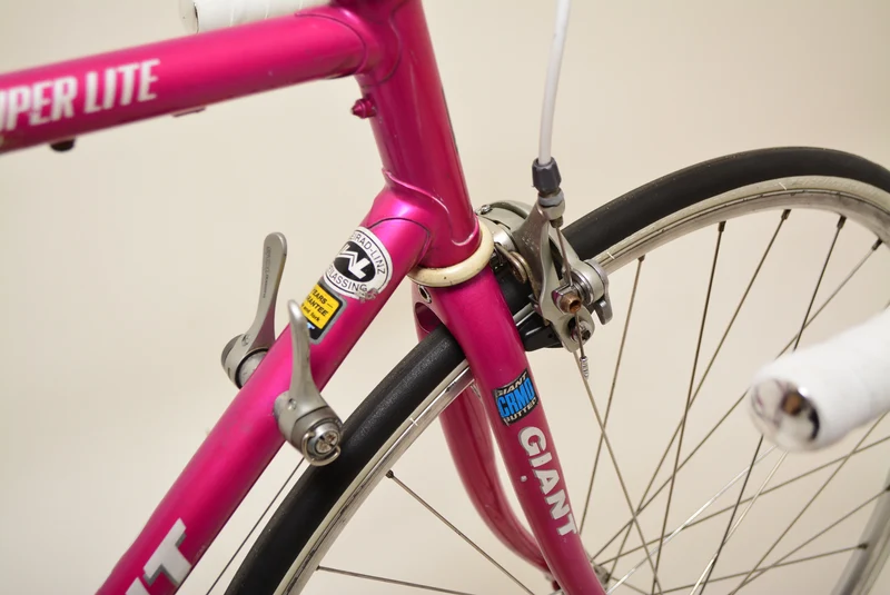 Giant Peloton Super Lite 55 cm Shimano 105 Vintage Steelbike