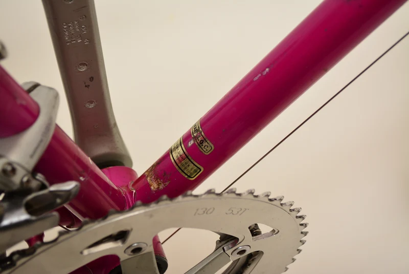 Giant Peloton Super Lite 55 cm Shimano 105 Vintage Steelbike