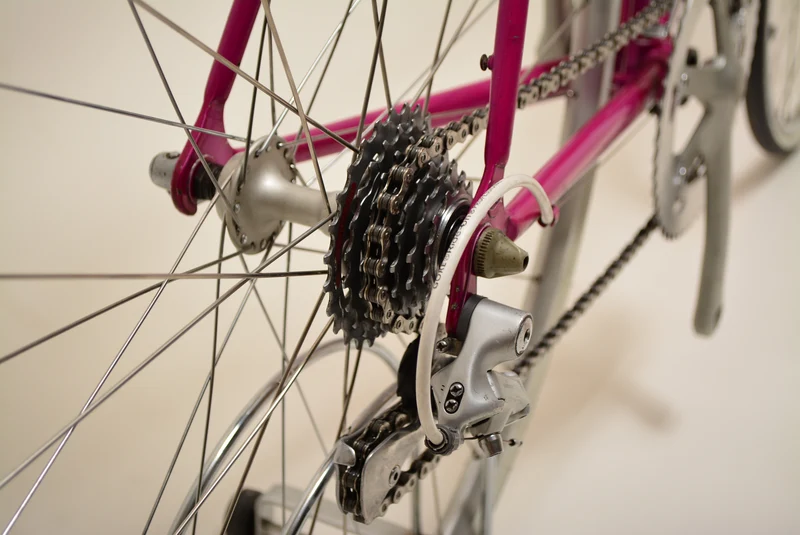 Giant Peloton Super Lite 55 cm Shimano 105 Vintage Steelbike