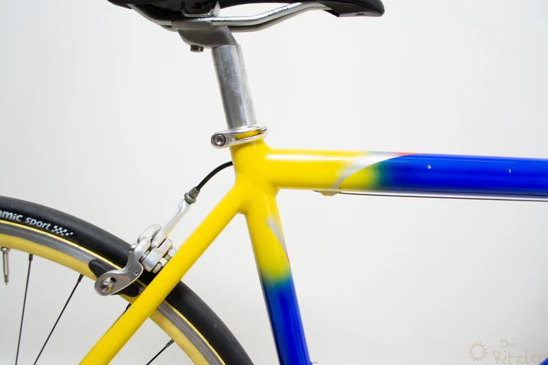 Vicini farverig landevejscykel 47CM Campagnolo
