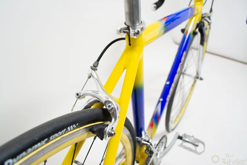 Vicini farverig landevejscykel 47CM Campagnolo