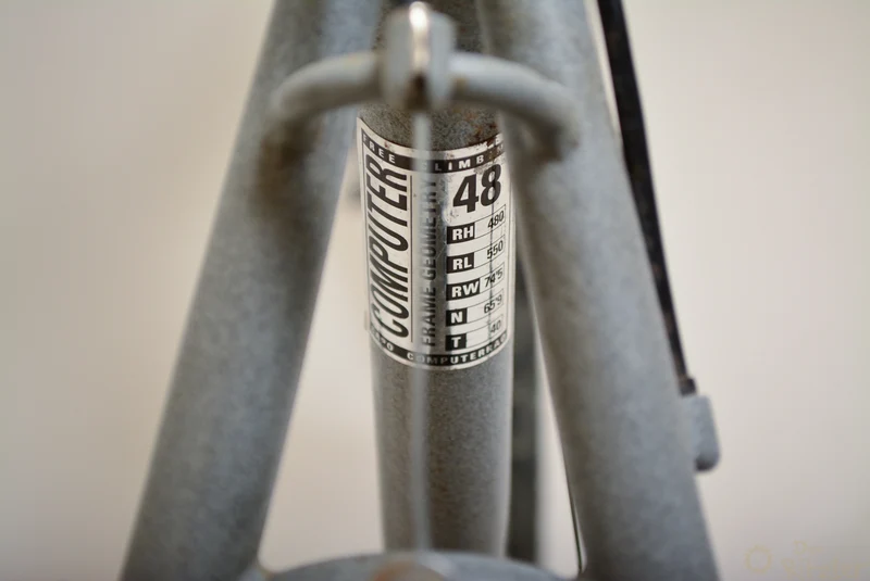 Troger Free Climbing 48CM Vintage Mountain Bike
