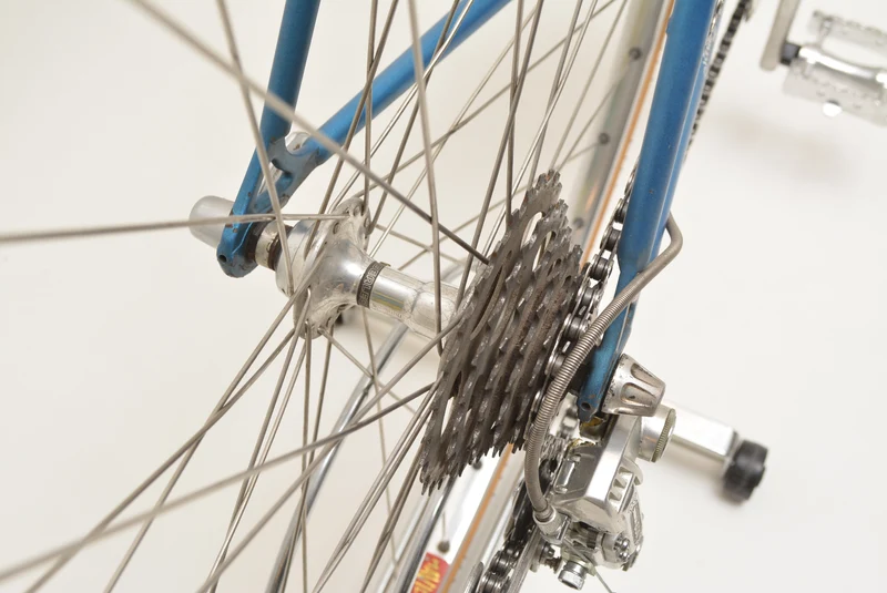Pennine landevejscykel Scelta Dei Campioni 57 cm Shimano 600 Vintage Steelbike L'Eroica