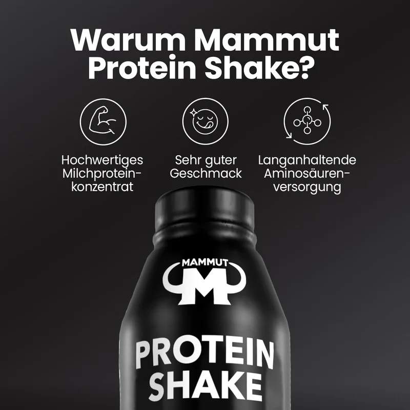 Protein Shake - RTD - 500 ml PET Flasche