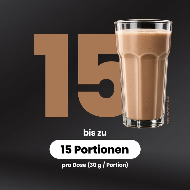 Vegan Protein - 460 g Dose