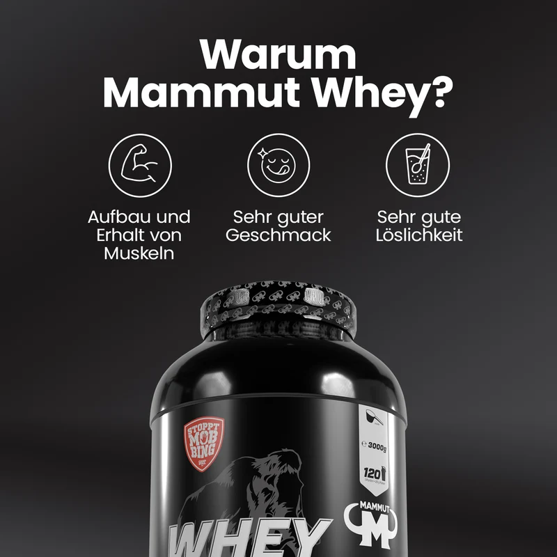 Whey Protein - 3000 g Dose