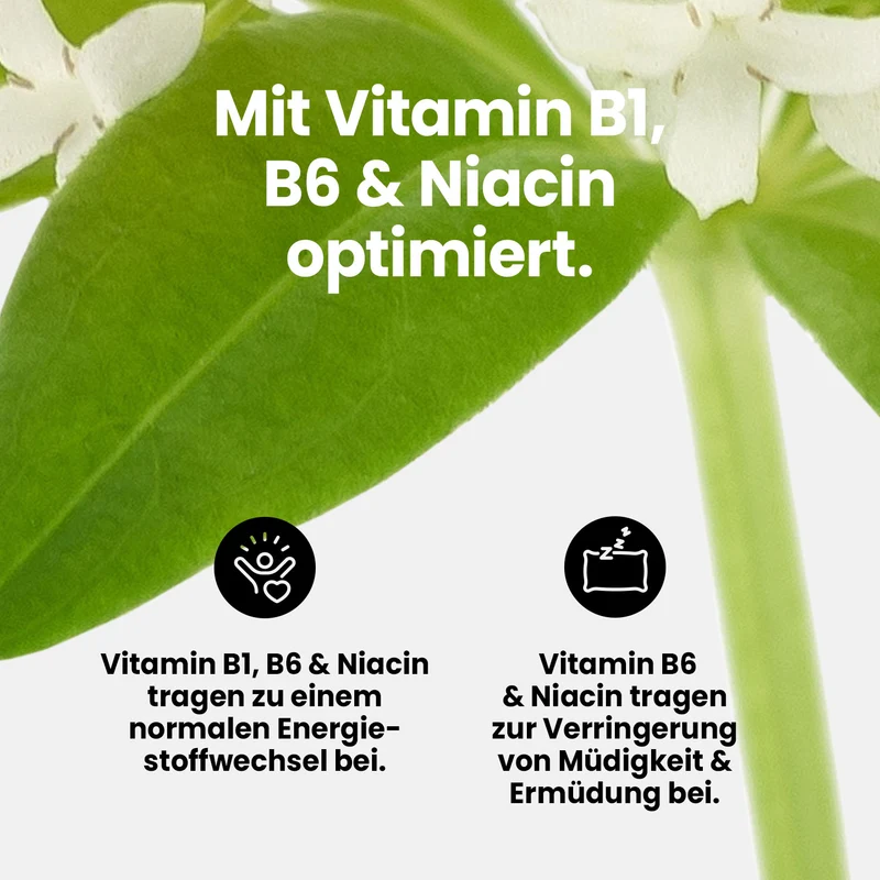 Vital Drink Zerop - 48 ml Squeeze Flasche