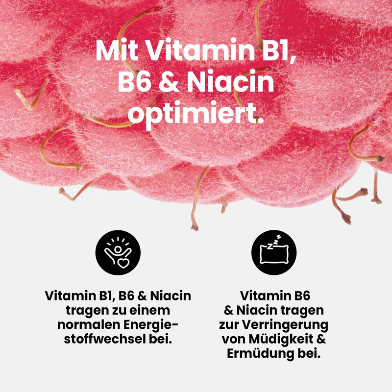 Vital Drink Zerop - 500 ml Flasche