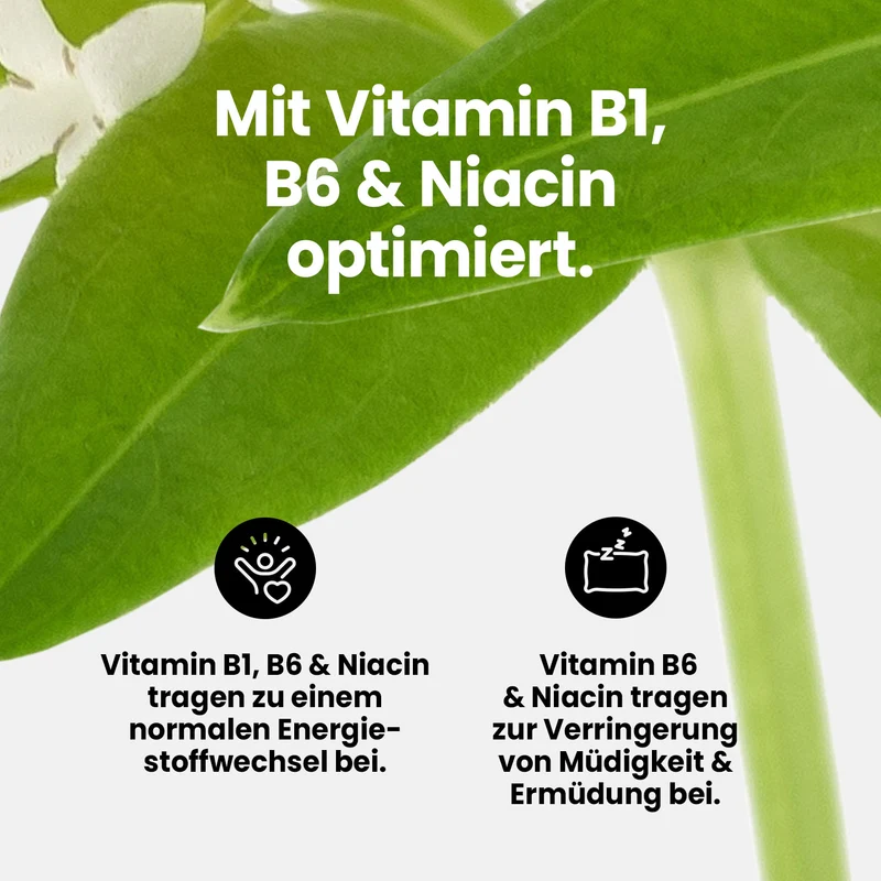 Vital Drink Zerop - 1000 ml Flasche