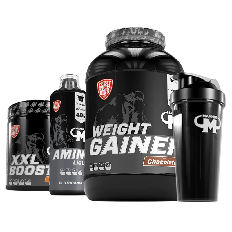 Full Workout Masseaufbau Bundle II