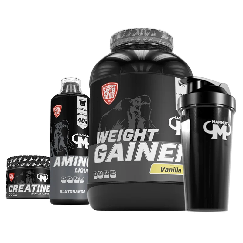 Full Workout Masseaufbau Bundle I