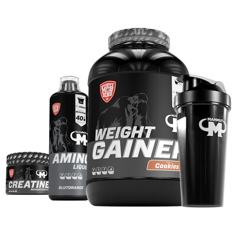 Full Workout Masseaufbau Bundle I