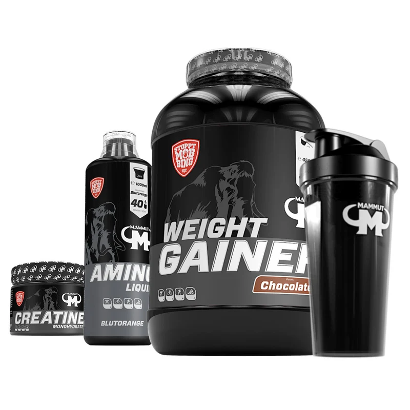 Full Workout Masseaufbau Bundle I
