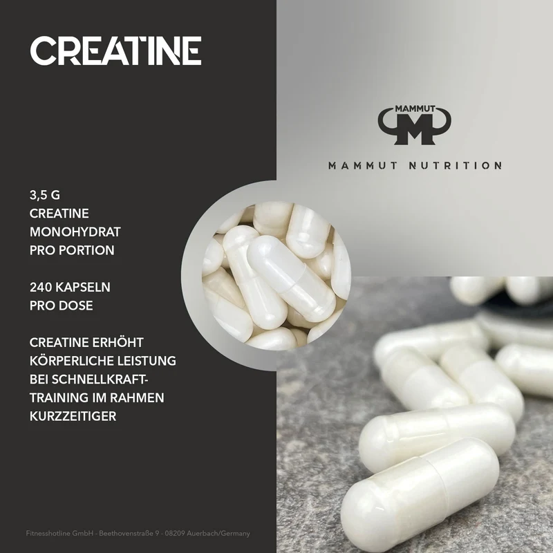 Creatine Caps - 240 Stück/Dose