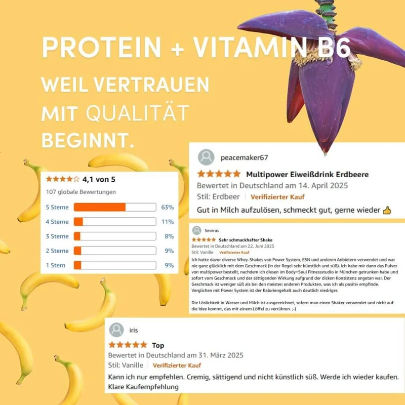 420g Whey Protein Pulver Banane | Mit Vitamin B6