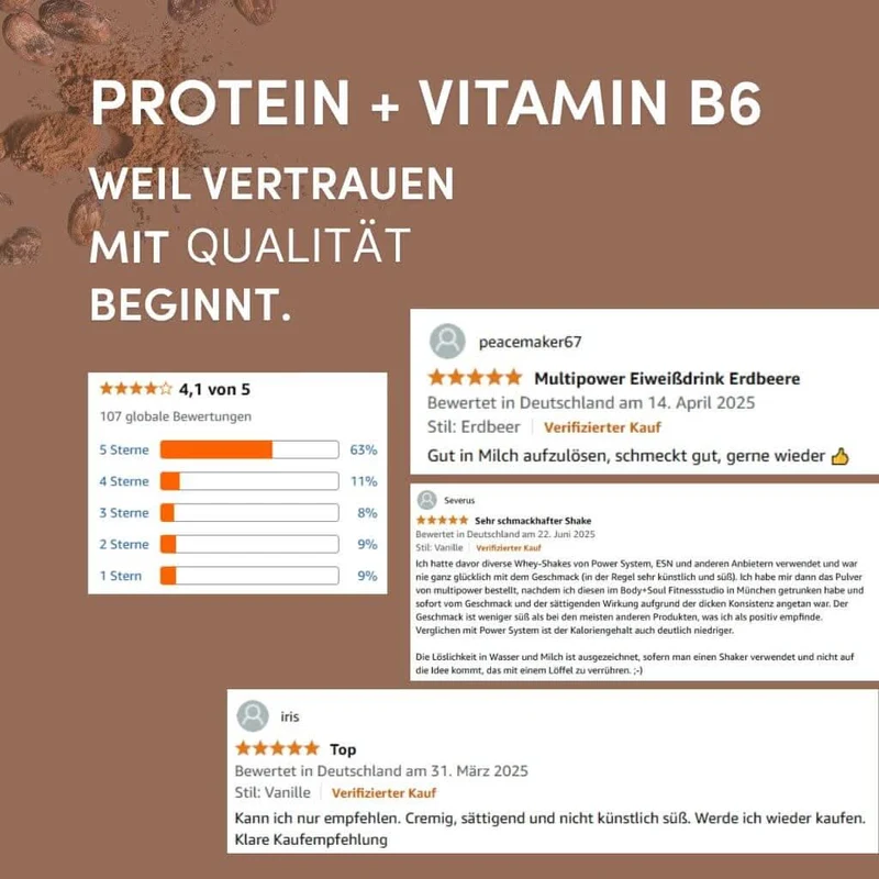 420g Whey Protein Pulver Schoko | High Protein