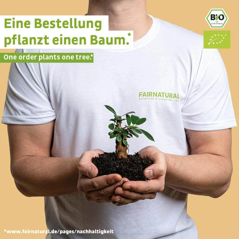 Bio Vegan Proteinriegel Schoko Einzelriegel