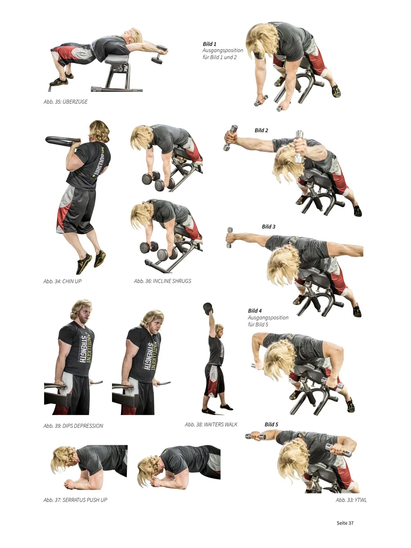 TRAINING I DRÜCKBEWEGUNGEN