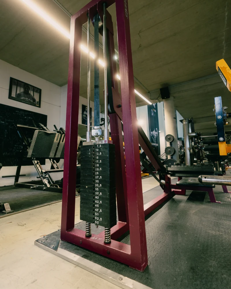 Gym80 Kickback Maschine Liegend