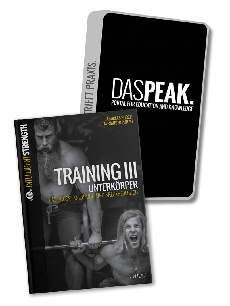 DASPEAK. Bundle